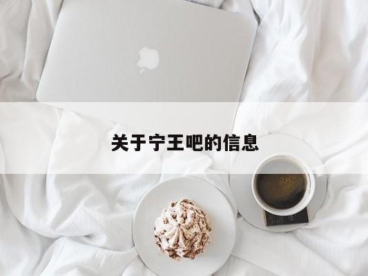 关于宁王吧的信息